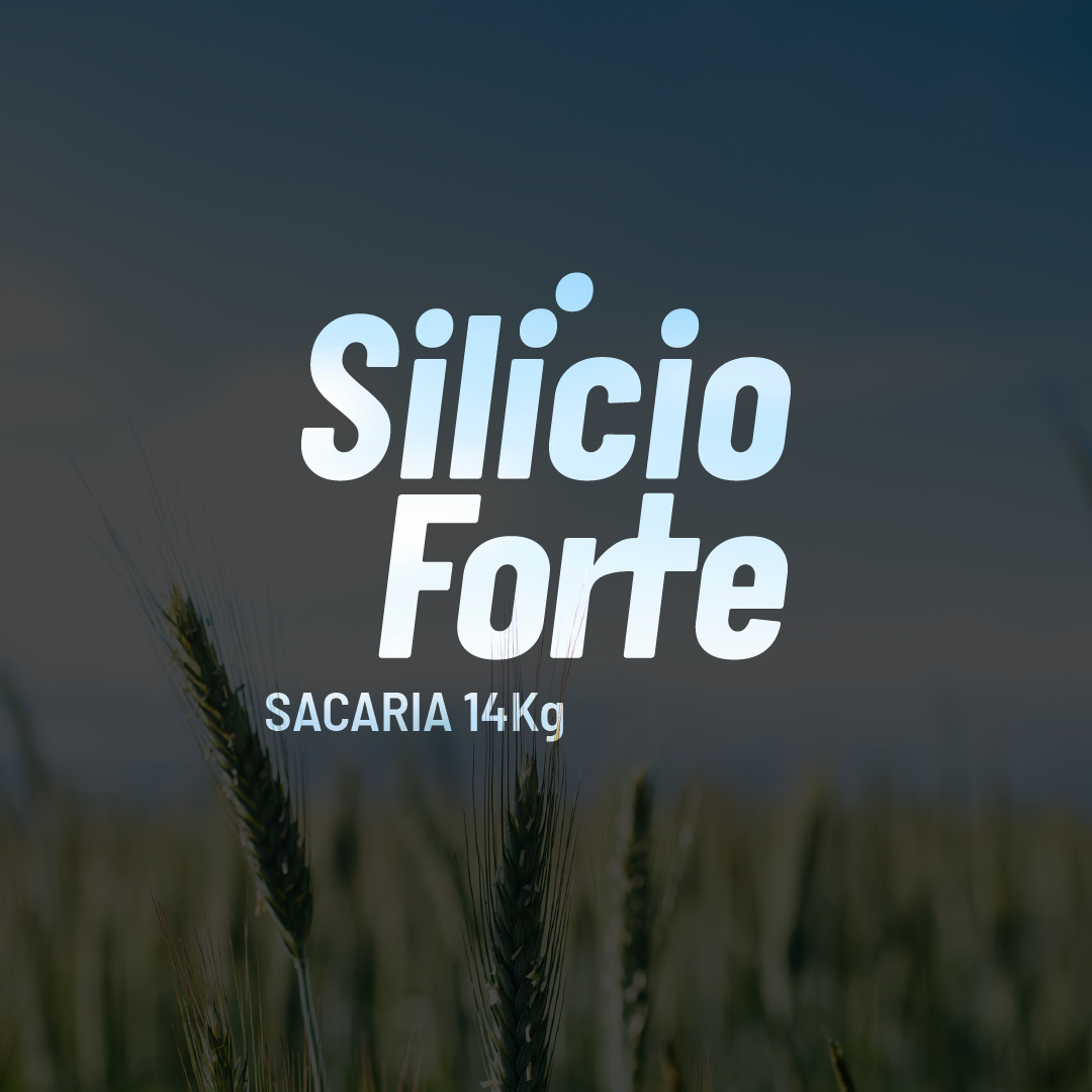 Silício Forte